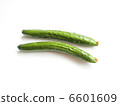 2 cucumbers with flowers 6601609