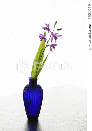 Flower silane put in a glass bottle Flower silane put in a glass bottle 6601959
