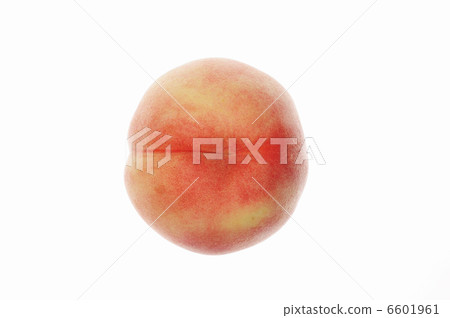 Momo on white back 6601961