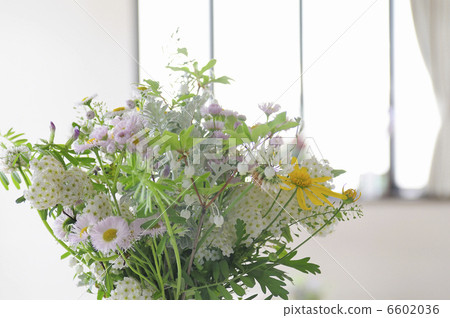 花卉設計 花卉設計 6602036