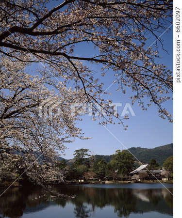 Spring of Osawa pond 6602097