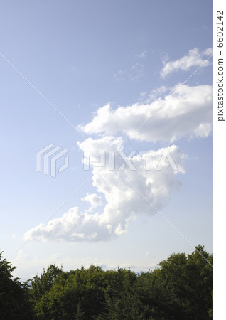 Sky and clouds and forest 6602142