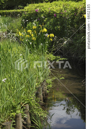 水邊的Kishoub 6602185