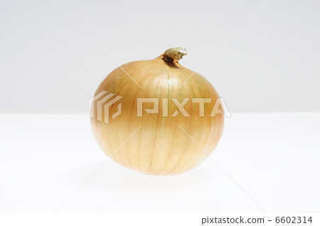 白洋蔥洋蔥 6602314