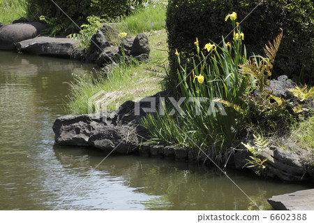 水邊的Kishoub 6602388