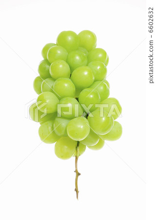 Green grapes on white back 6602632