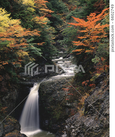Otaki Mountain in autumn of autumn 6602749