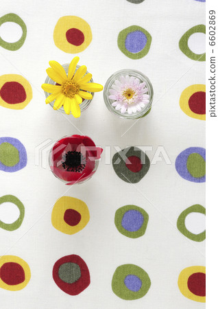 Three flowers on the graphic pattern 6602869