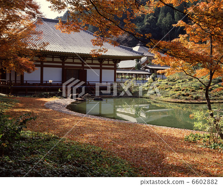 Fall of Kuan-ji 6602882