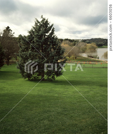 Commonwealth Park Commonwealth Park 6603056