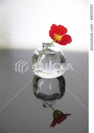 Flower in glass vase Nausen Halen 6603095