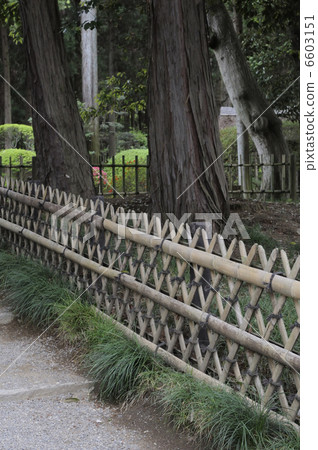 花園和竹籬笆 6603151