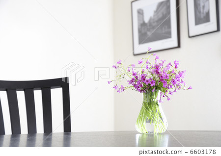 報春花插花 6603178