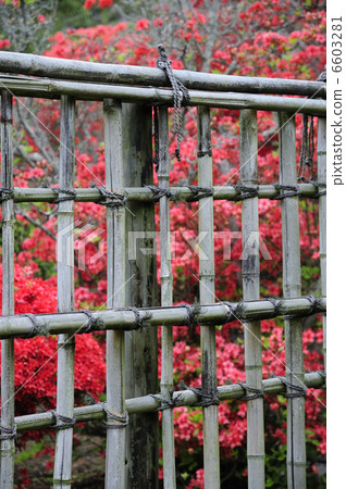 Bamboo fence and flowers 6603281