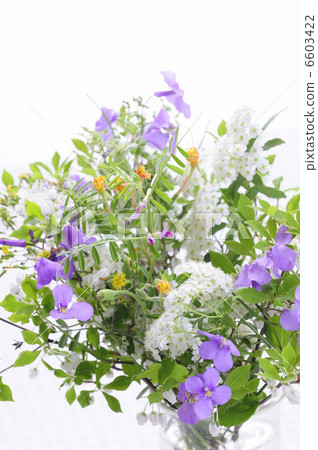 花卉設計 花卉設計 6603422