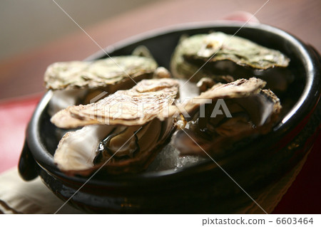 牡蠣 牡蠣 6603464