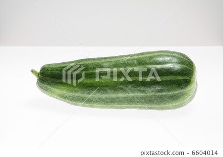 白背的白痴 白背的白痴 6604014