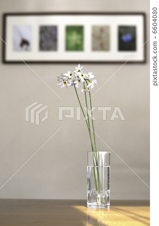 花卉設計 花卉設計 6604080