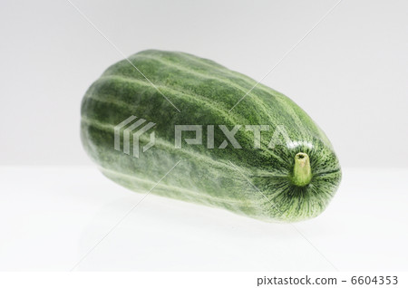 Hakguri in white back Hakguri in white back 6604353