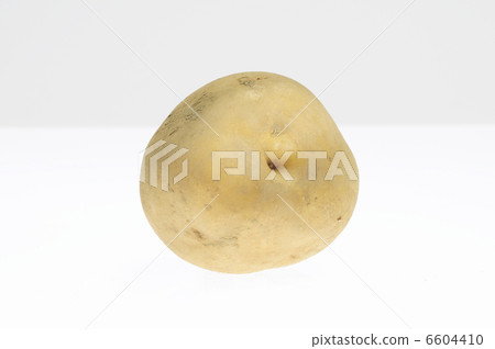 在白色後面的土豆 6604410