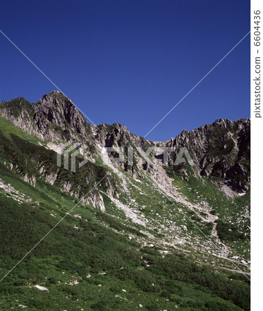 Central Alps Senjyojiki curl 6604436