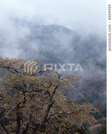 春天的陰霾 6604494