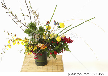 花卉設計 花卉設計 6604588