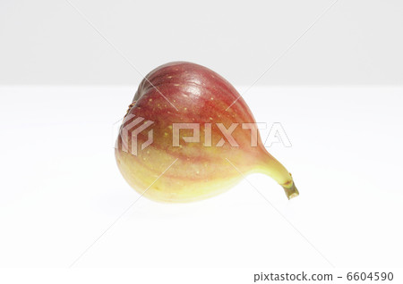 圖中的白色背面。 6604590