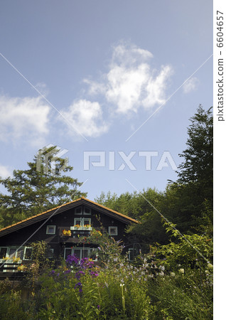 在森林裡養老 6604657