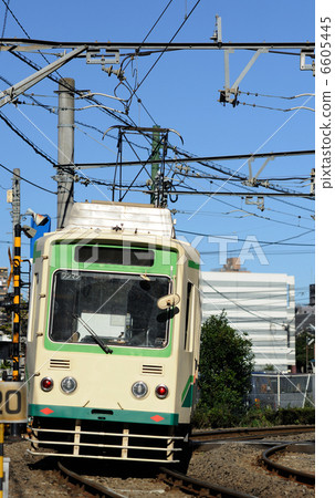 電荒 6605445