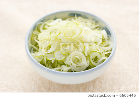 Leek 6605446