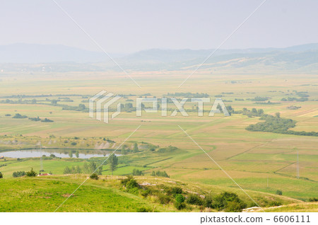 meadow meadow 6606111