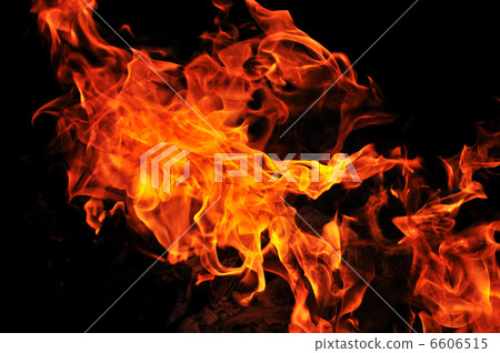 wild fire wild fire 6606515