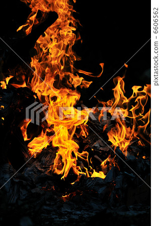 wild fire 6606562