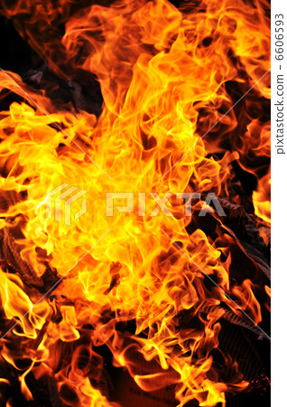 wild fire wild fire 6606593