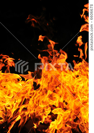 wild fire 6606678