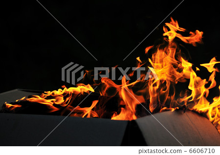 wild fire wild fire 6606710