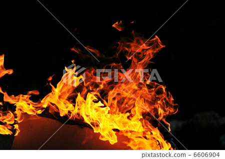 wild fire wild fire 6606904
