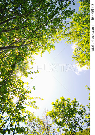 beautiful sunset in nature beautiful sunset in nature 6606950