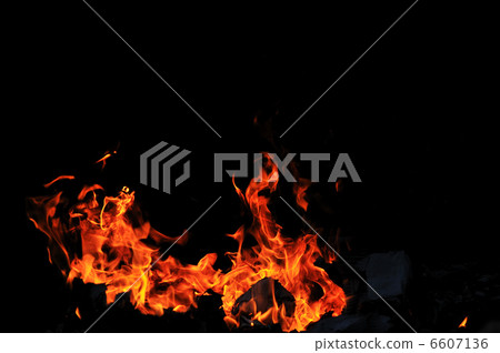 wild fire wild fire 6607136