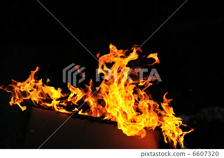 wild fire wild fire 6607320