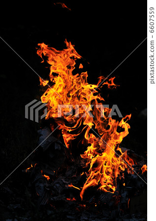 wild fire wild fire 6607559