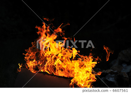 wild fire wild fire 6607561
