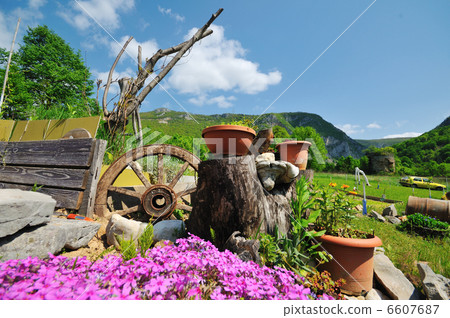 garden with beautiful flower decoratin garden with beautiful flower decoratin 6607687