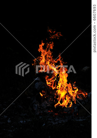 wild fire 6607693