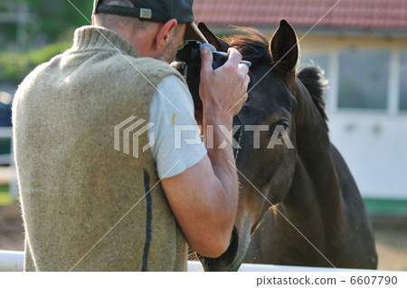 photographer and horse photographer and horse 6607790