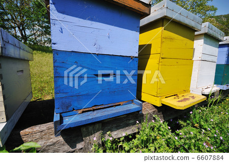 bee home at meadow bee home at meadow 6607884