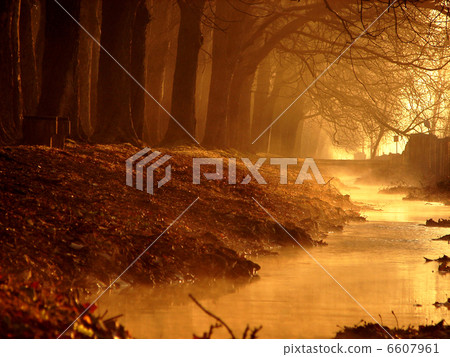 sunrise in beautiful alley sunrise in beautiful alley 6607961