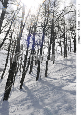 winter landscape winter landscape 6608024