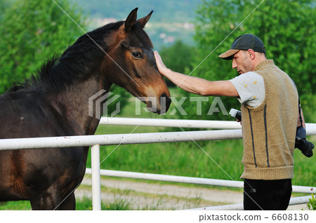 photographer and horse photographer and horse 6608130
